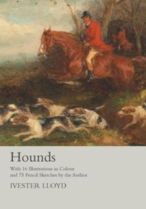 bigCover of the book Hounds - With 16 Illustrations in Colour and 75 Pencil Sketches by the Author by 