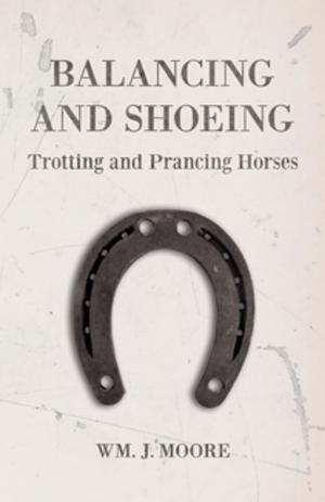 Cover of the book Balancing and Shoeing Trotting and Prancing Horses by Anon