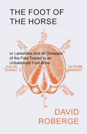 Cover of the book The Foot of the Horse or Lameness and all Diseases of the Feet Traced to an Unbalanced Foot Bone by Anon.