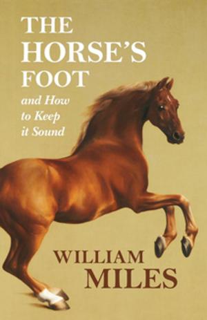 Cover of the book The Horse's Foot and How to Keep it Sound by Margaret Lucy