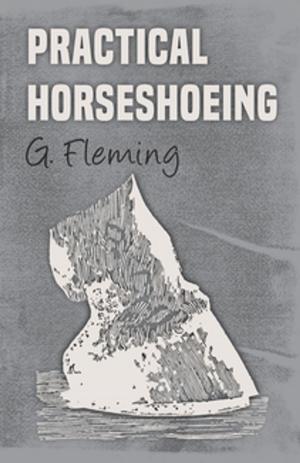 Book cover of Practical Horseshoeing