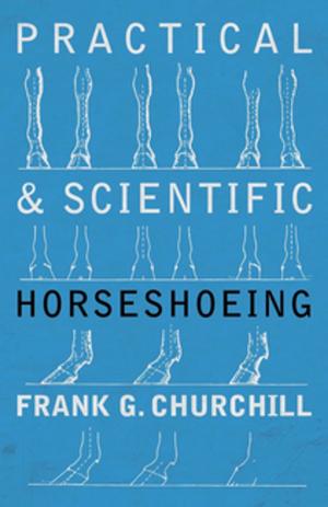 Cover of the book Practical and Scientific Horseshoeing by Beverley Nichols