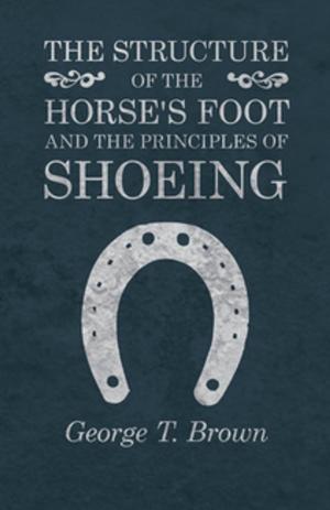 Book cover of The Structure of the Horse's Foot and the Principles of Shoeing