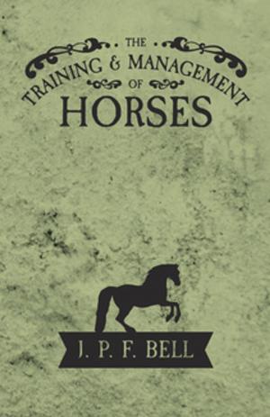 Cover of the book The Training and Management of Horses by Anon.