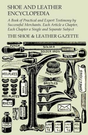 Cover of the book Shoe and Leather Encyclopedia - A Book of Practical and Expert Testimony by Successful Merchants. Each Article a Chapter, Each Chapter a Single and Separate Subject by Arthur Lourie