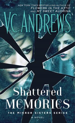 Book cover of Shattered Memories