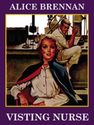 Cover of the book Visting Nurse by Joyce Victor PhD RN