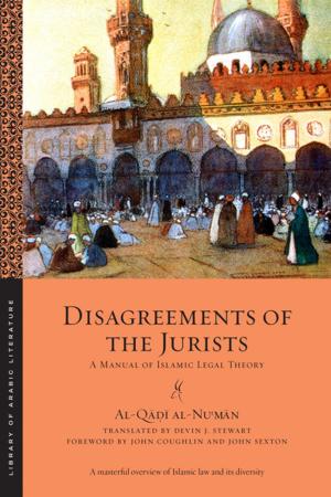 Cover of the book Disagreements of the Jurists by Jennifer L. Morgan