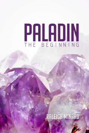Cover of the book Paladin by Emeritus Professor (Dr) Gary Goh