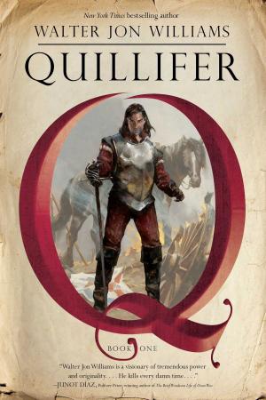 Book cover of Quillifer