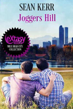 Cover of the book Joggers Hill by Celine Chatillon