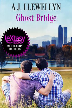 Book cover of Ghost Bridge