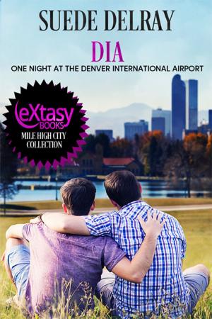 Cover of the book DIA - One Night at the Denver International Airport by Celine Chatillon