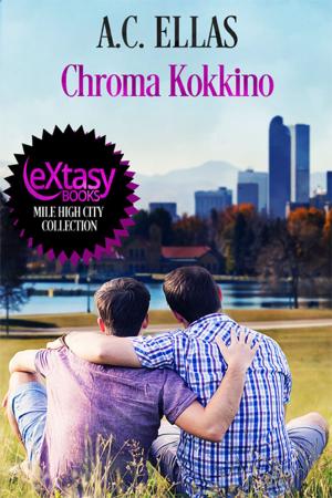 Cover of the book Chroma Kokkino by Catherine Lievens