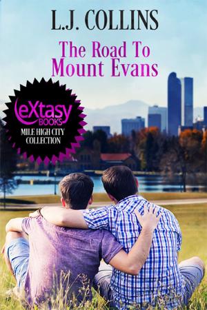 Cover of the book The Road To Mount Evans by D.J. Manly
