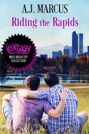 Cover of the book Riding the Rapids by Katie M John