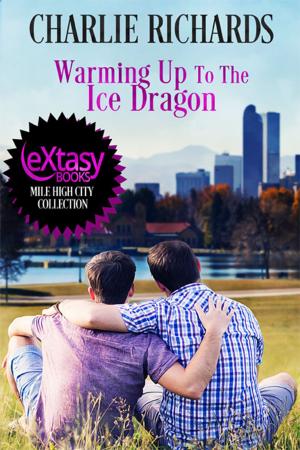 Cover of the book Warming Up To the Ice Dragon by A.J. Llewellyn, D.J. Manly