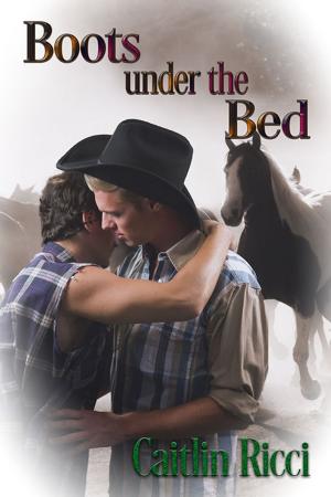 Cover of the book Boots Under the Bed by Scarlet Blackwell