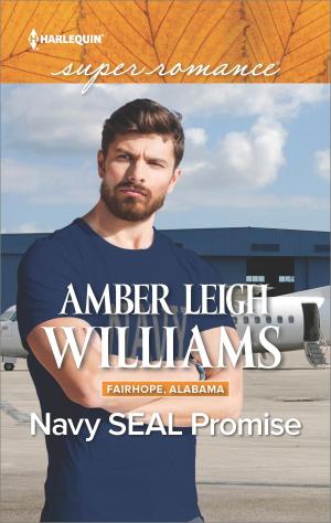 Book cover of Navy SEAL Promise