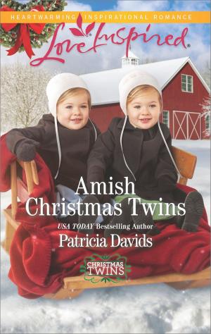 Cover of the book Amish Christmas Twins by Jan Hambright, Carla Cassidy