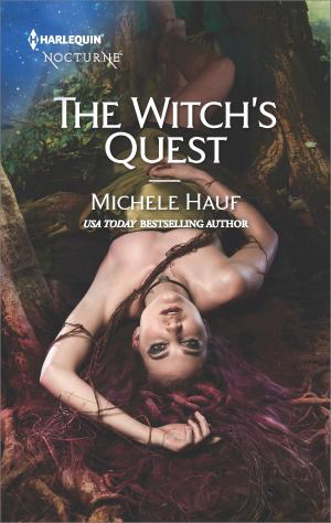 Book cover of The Witch's Quest