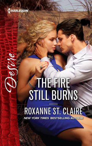 Cover of the book The Fire Still Burns by Sandra Chastain