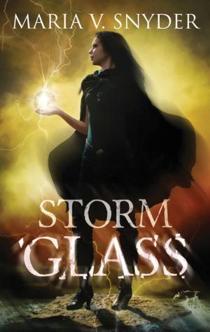 Cover of the book Storm Glass by Christiane Heggan