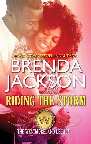 Cover of the book Riding the Storm by Linda Ford