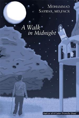 Cover of the book A Walk in Midnight by Angela James