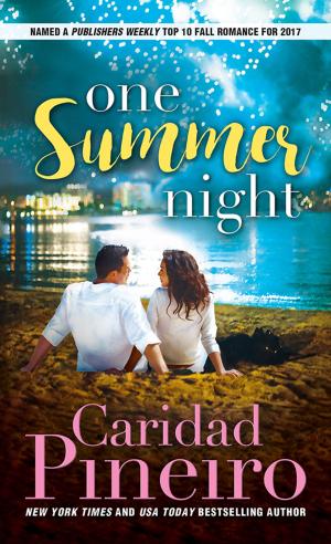 Cover of the book One Summer Night by Shona Husk