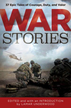 Cover of the book War Stories by Jane Stern, Michael Stern