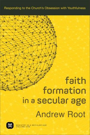 Book cover of Faith Formation in a Secular Age : Volume 1 (Ministry in a Secular Age)