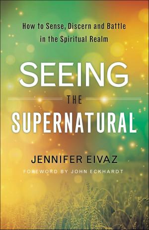 Cover of the book Seeing the Supernatural by Jamaal W.M. Fridge