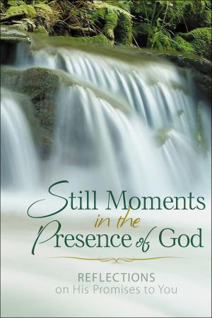 Book cover of Still Moments in the Presence of God