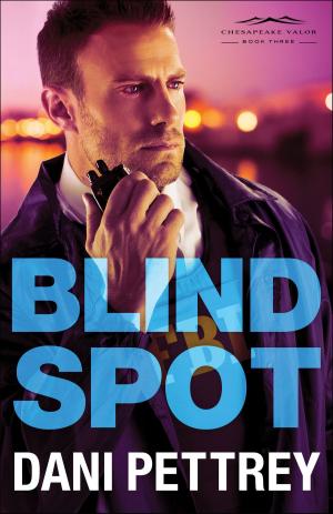 Cover of the book Blind Spot (Chesapeake Valor Book #3) by Neil R. Lightfoot