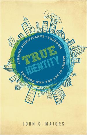 Cover of the book True Identity by T. Davis Bunn