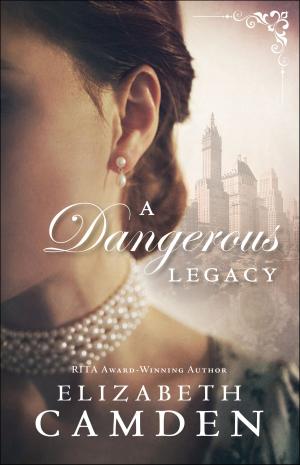 Cover of the book A Dangerous Legacy (An Empire State Novel Book #1) by Alexandra Kuykendall