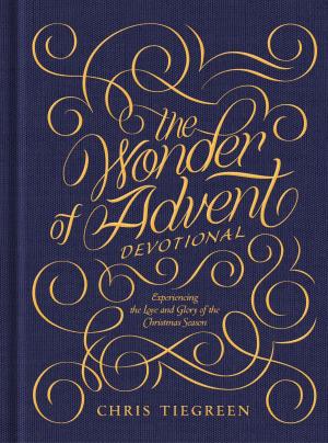 Cover of the book The Wonder of Advent Devotional by Karen Kingsbury, Gary Smalley