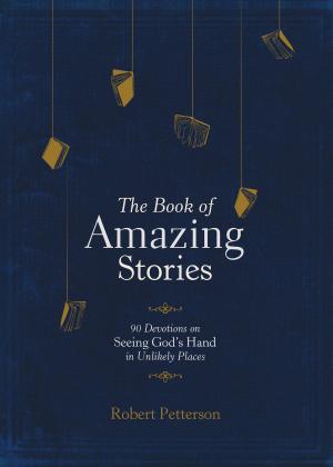 Cover of the book The Book of Amazing Stories by Candace Calvert