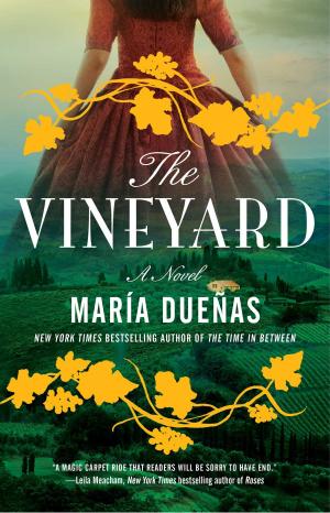 Cover of the book The Vineyard by Philip Jolowicz