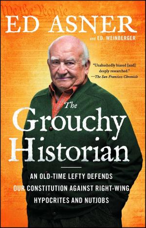 Cover of the book The Grouchy Historian by Mark Danner