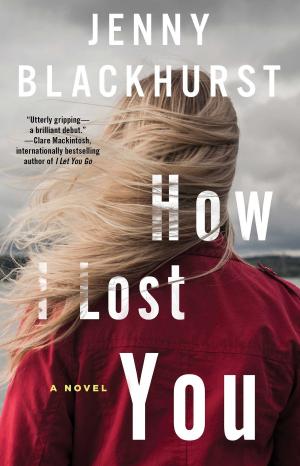 Cover of the book How I Lost You by Camron Wright