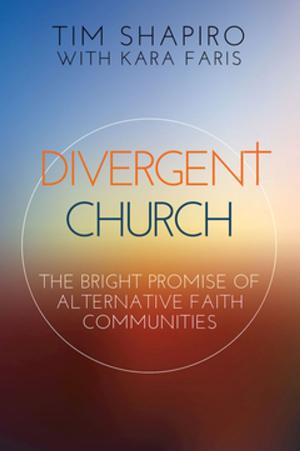Cover of the book Divergent Church by Paul E. Stroble, Abingdon Press