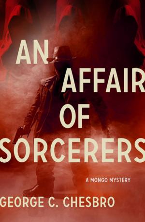 Cover of the book An Affair of Sorcerers by Seth Chanowitz