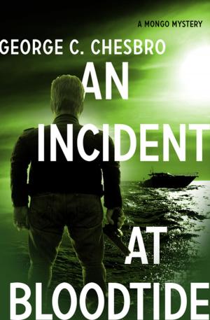 Cover of the book An Incident at Bloodtide by Philip Watson