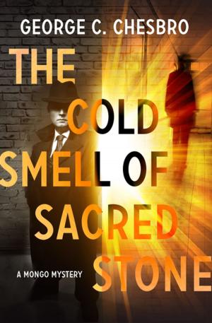 Cover of the book The Cold Smell of Sacred Stone by Andrew O. Dugas