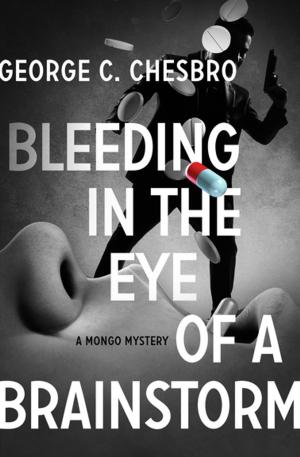 Cover of the book Bleeding in the Eye of a Brainstorm by Anita Parker