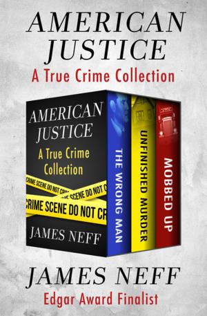 Cover of the book American Justice by Hubert Selby Jr.