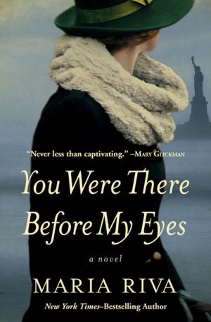 Cover of the book You Were There Before My Eyes by Tony Geraghty
