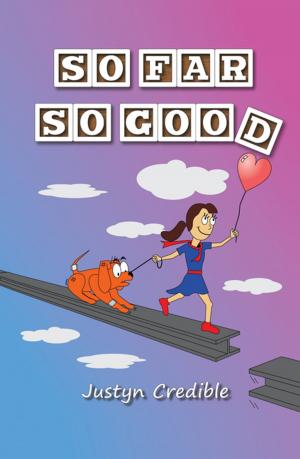 Cover of the book So Far so Good by Blimish Miller